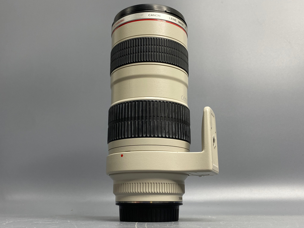 Canon EF 70-200mm f/2.8L USM