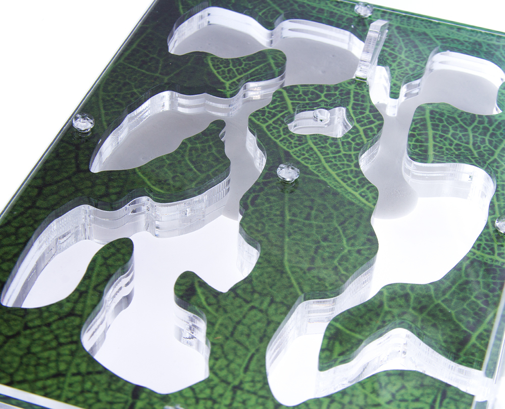 Муравьиная ферма Antrum L