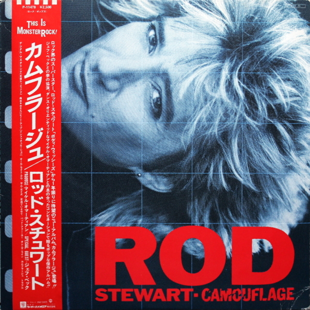 Rod Stewart / Camouflage (LP)