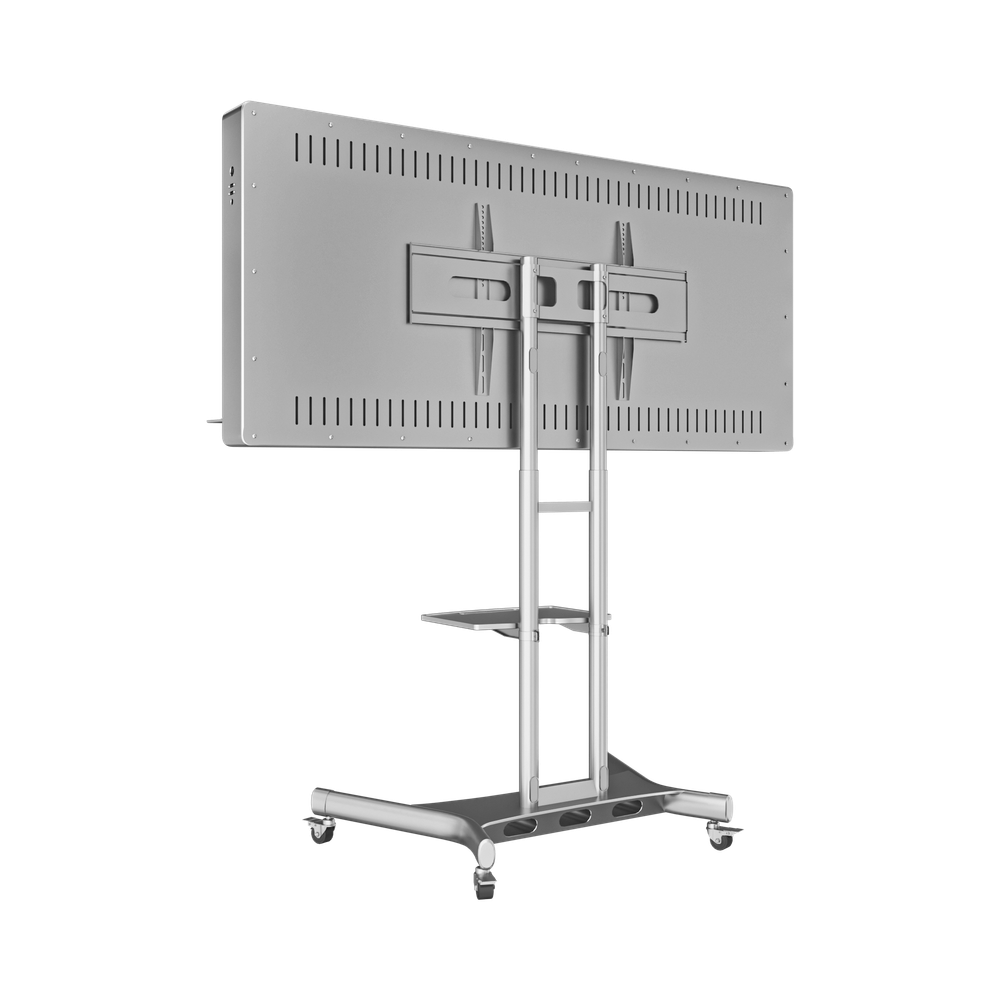Интерактивная панель Horizon Scan c документ-камерой 55"
