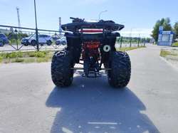 Квадроцикл PROMAX WILD 175 BASIC