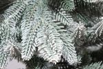 Заснеженная елка на ножке «Тайя» (Литая хвоя) 150 см / 1,5 м