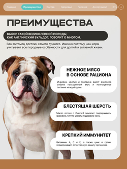 Корм для взрослых собак породы Английский бульдог, с кроликом, 3 кг, QUATTRO