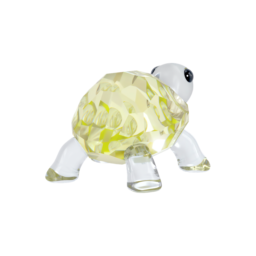 IDYLLIA:BABY TORTOISE