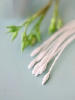 Тычинки заостренные белые для Эвкалипта, Вероники и пр. (2 пучка)