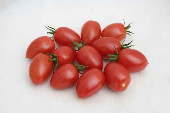 Брамос F1 семена томата индетерминантного (Гавриш) – фото 4