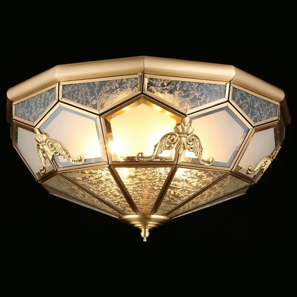 Накладной светильник Aployt Leoni APL.625.07.04