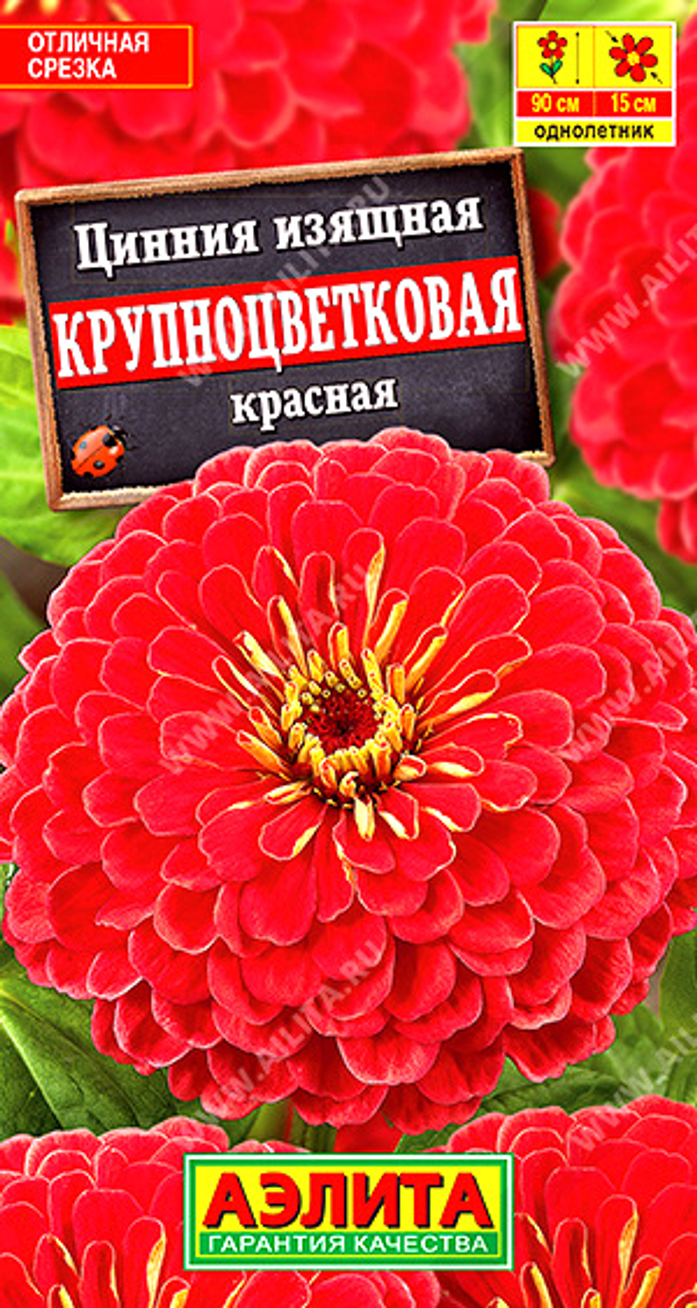 Цинния Крупноцветковая красная