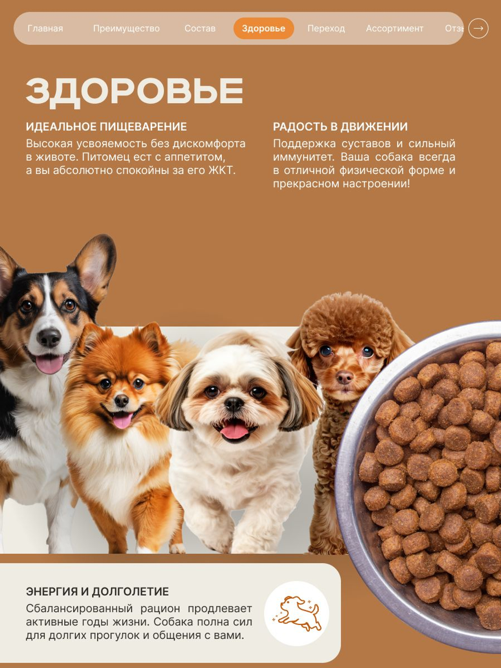 Корм сухой для взрослых собак породы Французский бульдог, с индейкой, 3 кг, QUATTRO