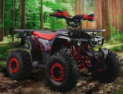 Квадроцикл PROMAX WILD 190 PRO-LINE