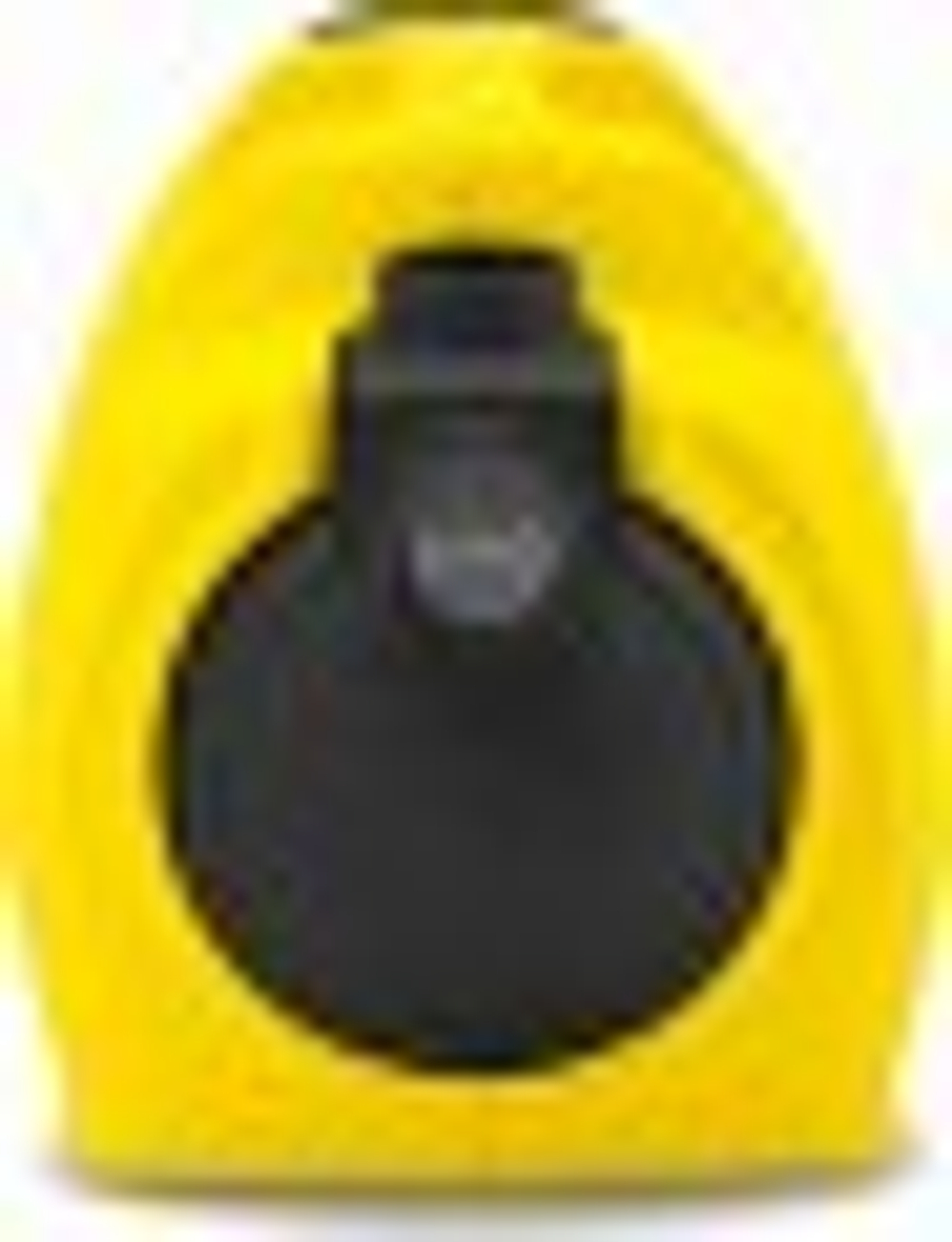 Насос садовый KARCHER BP 2 Garden 1.645-350.0 1.645-350.0
