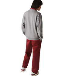 Мужская теннисная кофта Lacoste Men's Pennants L Badge Zippered Cotton Fleece Sweatshirt - серый