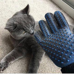ЧИСТЫЙ КОТИК Перчатка для вычеса 23 см