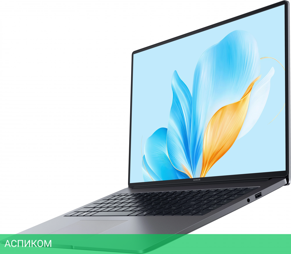 Ноутбук Honor MagicBook X16 2025 BRG-565 Space Gray (5301ALWS)