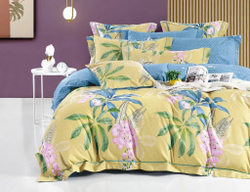 Постельное белье 2 спальное евро Asabella 1767-6