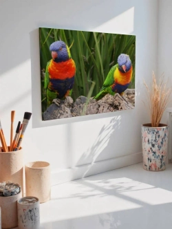Картина на стену 40 X 50 Попугаи