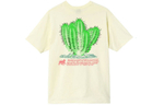Футболки Stussy Desert Bloom Tee T, 1904686