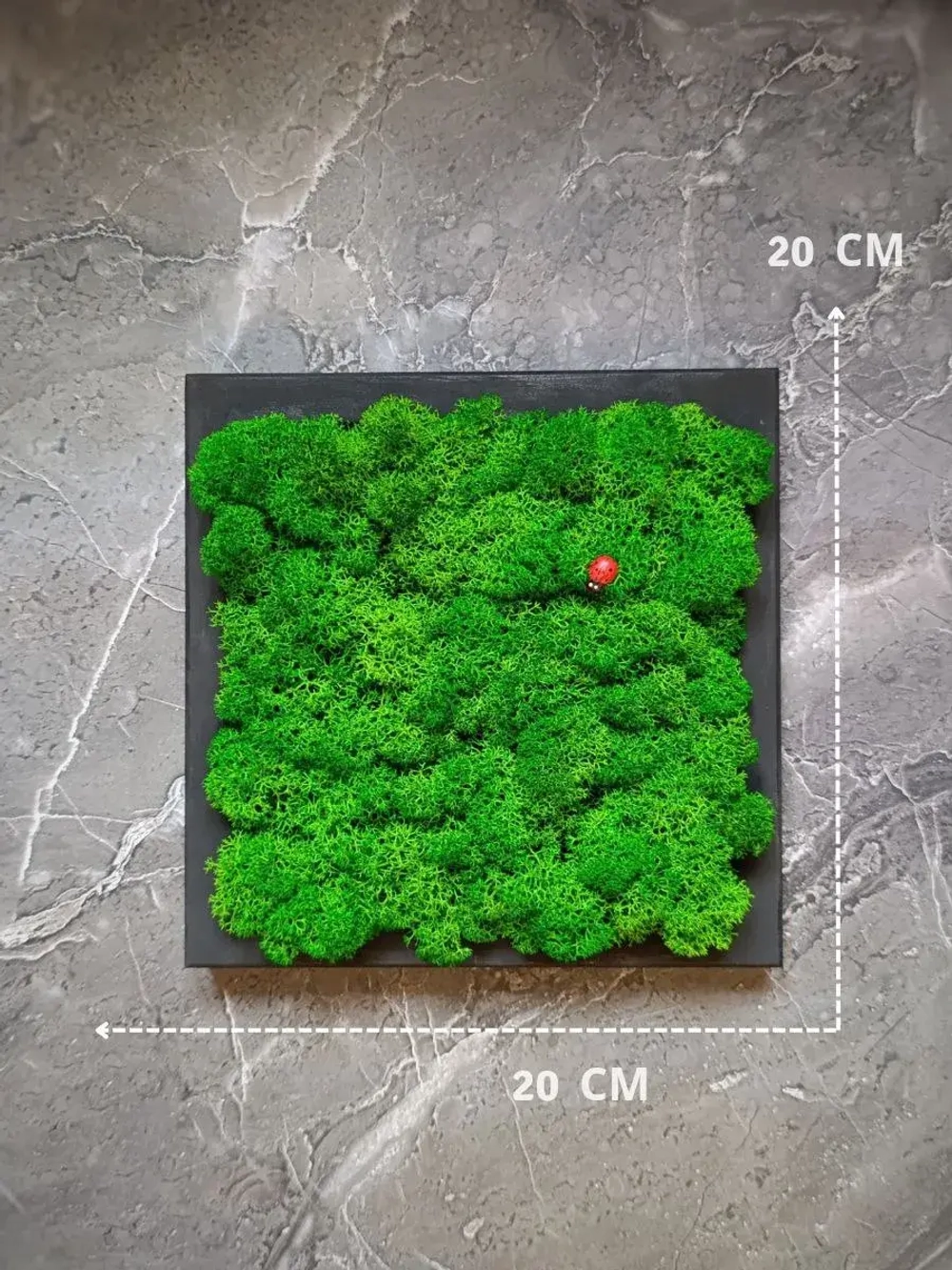Квадратное панно на стену 20*20 из мха набор 2 шт.