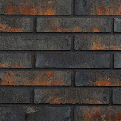 Облицовочная плитка Wandermode Armschwung Schwarzes Feuer AP090DF, 250х50 мм