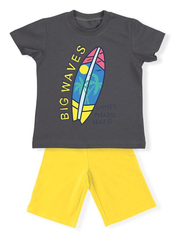 Комплект Serf 4306