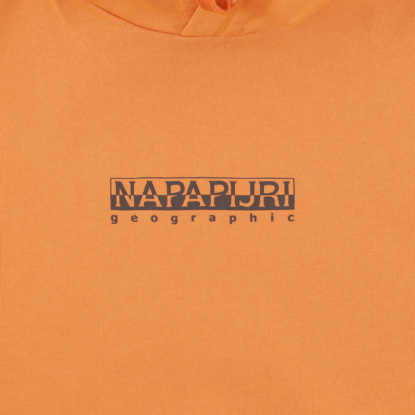 Толстовка мужская Napapijri B-Box Hoodie артикул:NA4GBEAA3 - купить в магазине Дайс