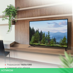 Телевизор LED Starwind 43" SW-LED43SG302