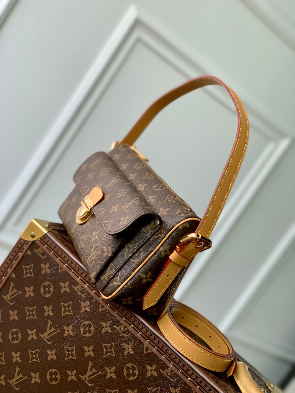 Louis Vuitton Bag