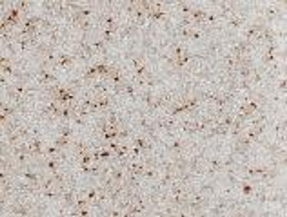 Смеситель GranAlliance G-9 матовый