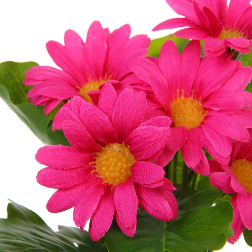 Цветочная композиция «Поцелуй лета» Хризантема ярко-розовая 20см