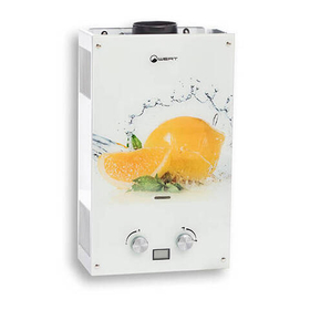 Водонагреватель газовый проточный (газовая колонка) WERT 10EG (с изображением лимона)