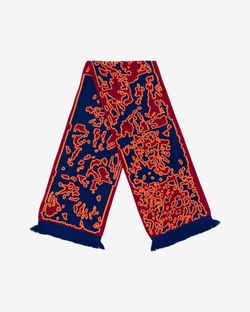 Шарф FW22 SCARF Bordo