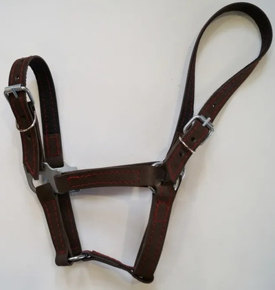 Недоуздок кожаный (размер COB)