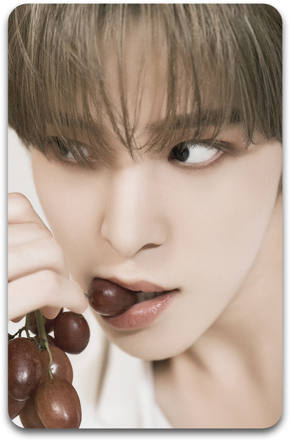 Карта / ATEEZ #0542