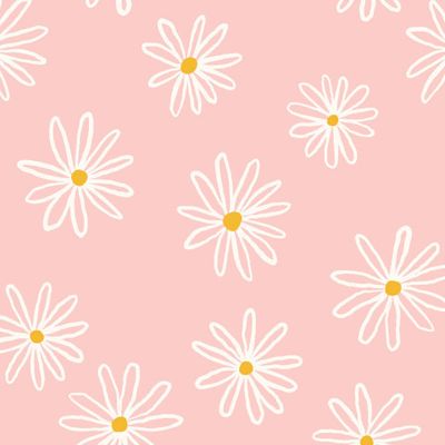 Простые ромашки на розовом