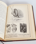 "Собрание сочинений.  В четырех томах."  Ч.Р.Дарвин. 1901 г.