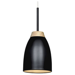 Подвесной светильник Loft it Watchman LOFT4402A-BL