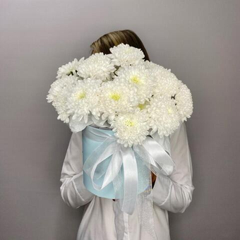 «Звездная колыбель» хризантемы в шляпной коробке