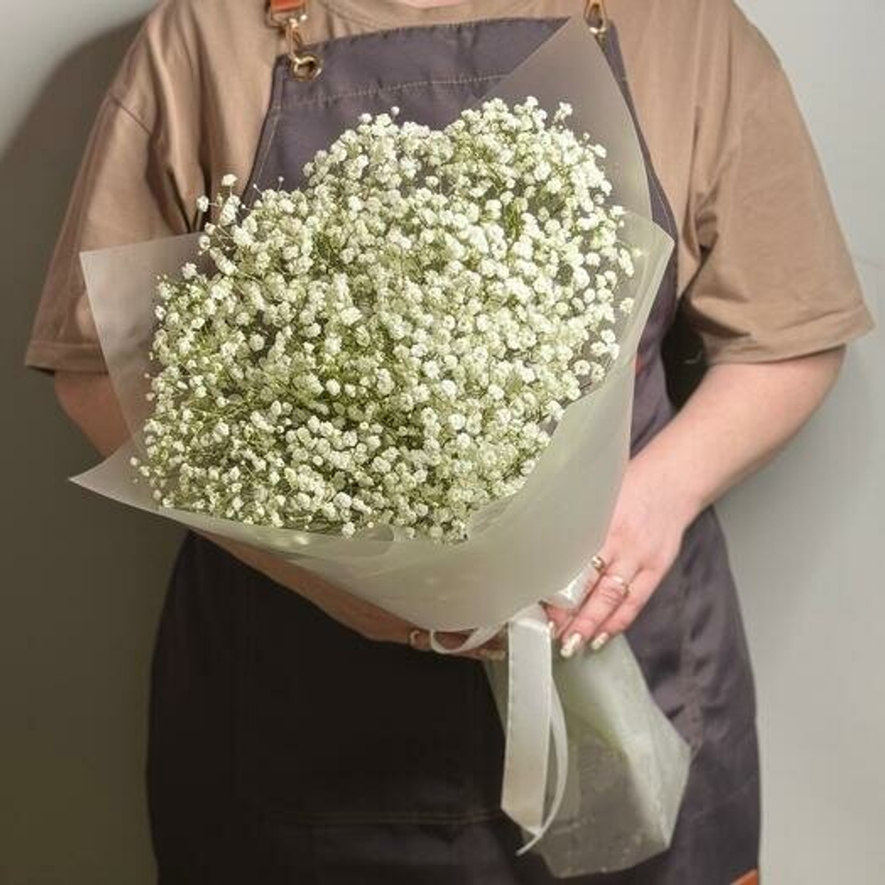 Букет из живых цветов белая гипсофила 5 шт, 50 см, в пленке, без зелени