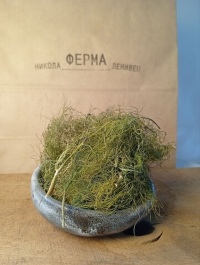 Фенхель сушеный