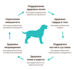 GRANDORF 4 вида мяса Для средних и крупных пород