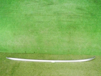 DSCN9868.jpg