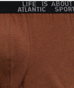 Мужские трусы шорты Atlantic, набор из 3 шт., хлопок, тёмно-серый меланж + медно-багряный меланж + коричневый меланж, 3MH-226