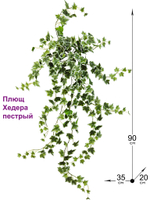 Искусственное растение Плющ Хедера пестрый