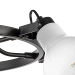 Потолочная люстра Lightstar ACROBATA 761060