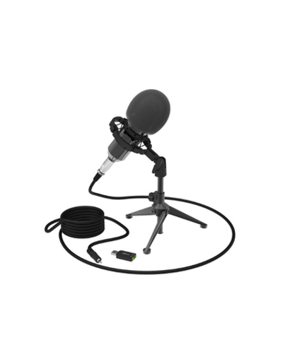 Микрофон RITMIX RDM-160 Black (конденсаторный)