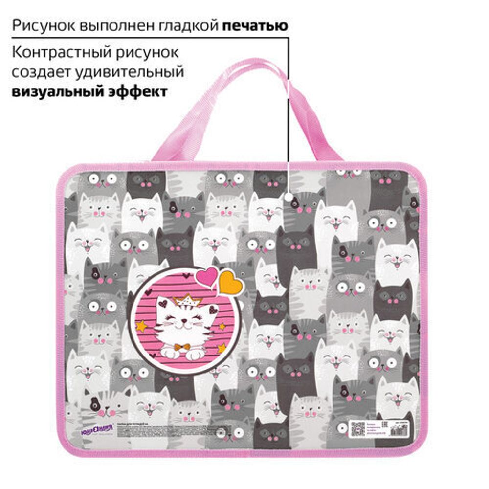 Папка на молнии с ручками ЮНЛАНДИЯ А4, 1 отделение, пластик, ширина 80 мм, "Gray kittens", 228170