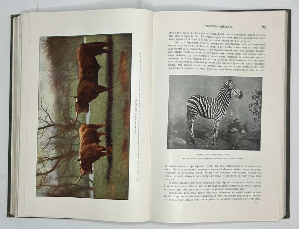 Корниш Чарльз Д. Жизнь животных. В 2-х т. В 2-х книгах. Москва. Издание Кнебель. 1909г.