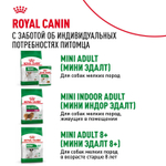 Royal Canin Mini Ageing 12+ Корм консервированный для стареющих собак мелких размеров 85г
