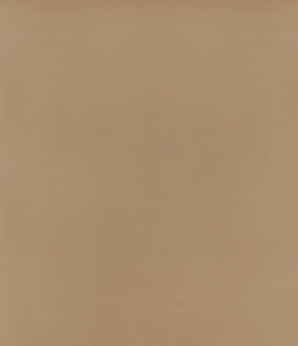 Рулонные шторы Блэкаут Латте