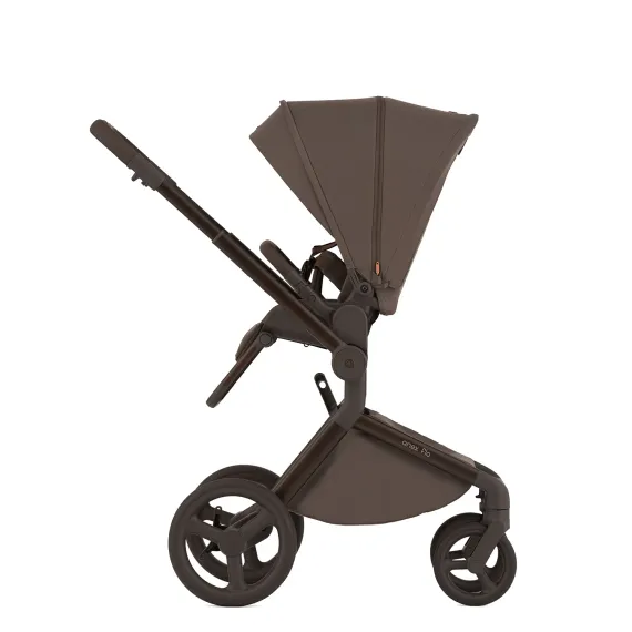 Коляска ANEX Flo 3 в 1 Browny